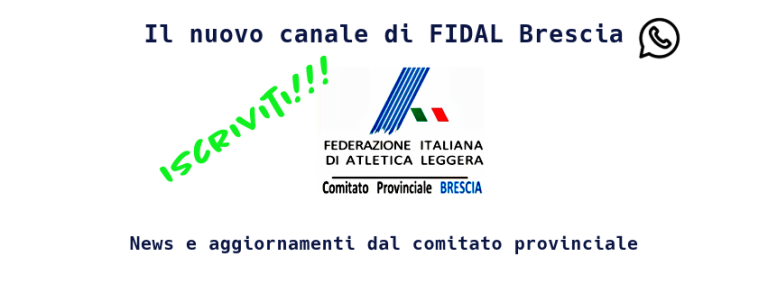 Canale whapp per sito