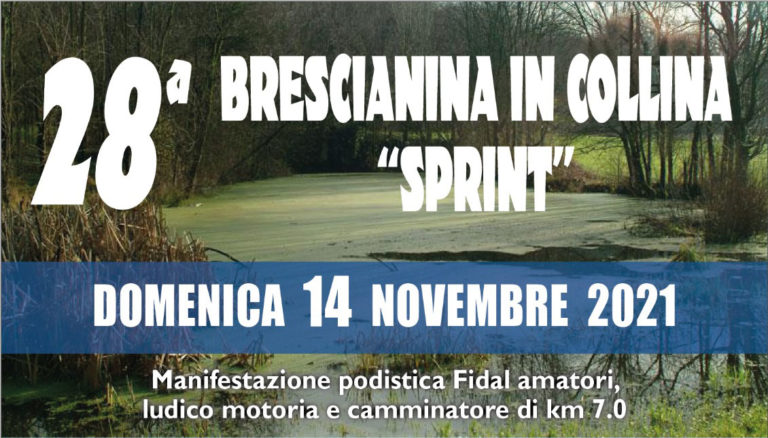 Senza titolo-1